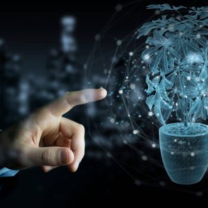 Recherche environnementale Recherche environnementale